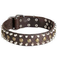 Decorated Leather Dog Collar with Studs Studded Dog Collar for Walking and Training