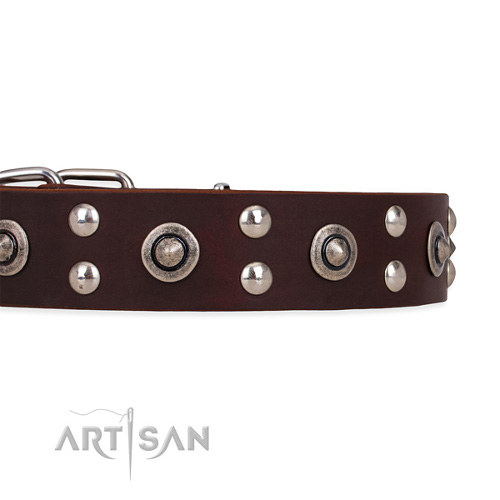 Wide Dog Collars for Large Breeds Full-grain Leather