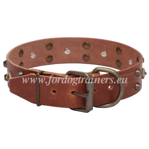 Giant Dog Leatehr Collar