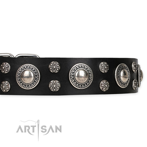 Lederen Honden Halsband met Sterke
Hardware