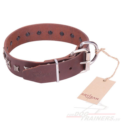 Leather Dog Collars Functional and Fashionable