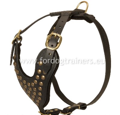 English Bull Terrier Leather Dog Harness