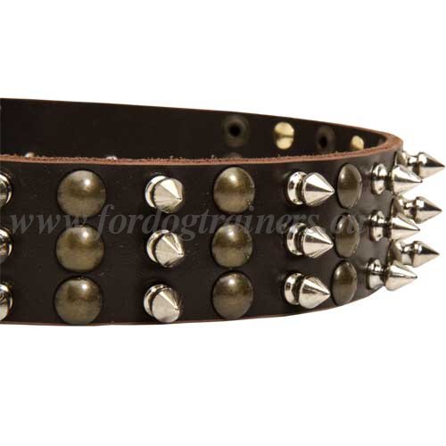 Hunde Halsband mit Spikes Dekor