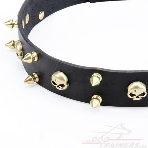 Halsband van Leer met Stoere ontwerp