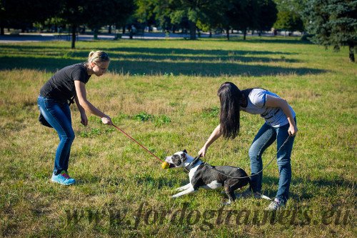 Balle en caoutchouc pour jeux canins