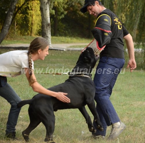 Matriel pour Cane Corso