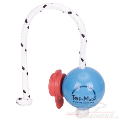 Top-Matic Fun Ball with Maxi Power Clip Strong