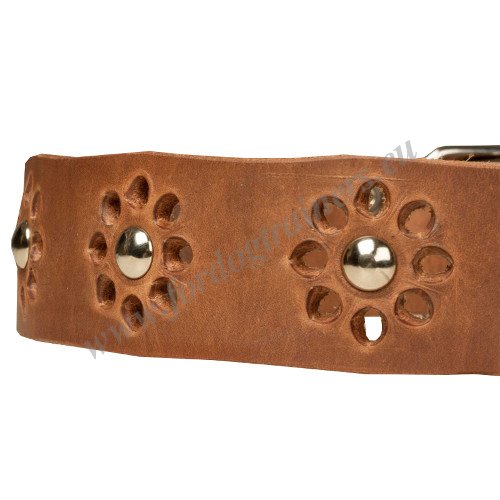 Soft Leather Collar Hand-decorated