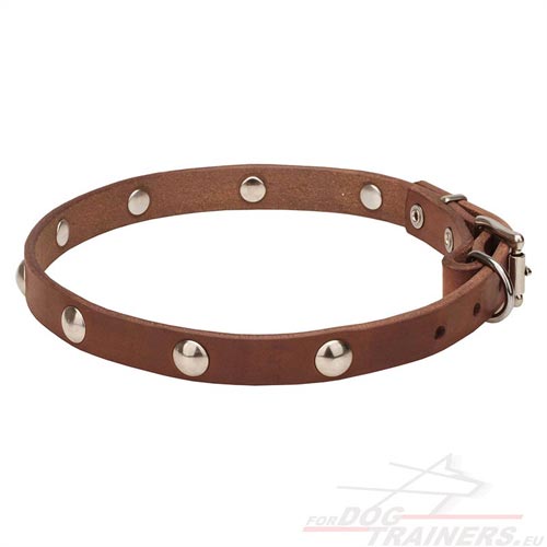 Light Leather Dog Collar with Decorative Rivets