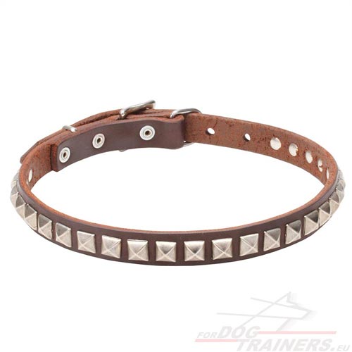 Dog Collar with Studs Tan Leather