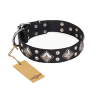 Black Studded Leather Collar