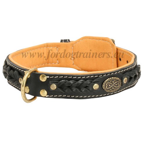 Wide Dog
Collar for Medium Breeds