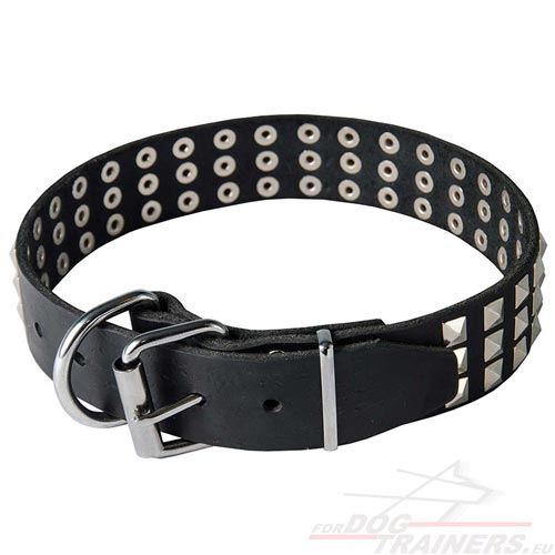 Thick Canine Collar for Training