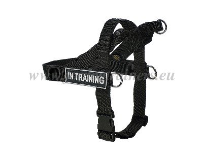 Dog Harness with Quick Buckle
