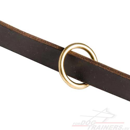 Traffic Length Dog Leash for Rottweiler