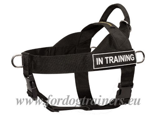 Dog Harness Xlarge Nylon