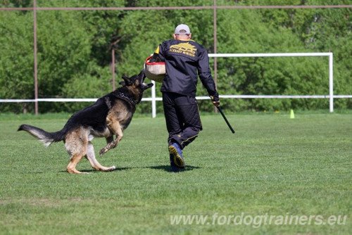 Equipment for Dog Bite Training