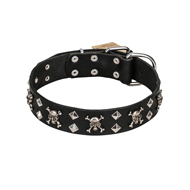 Lederen hondenhalsband met schedel en spikes van FDT Artisan