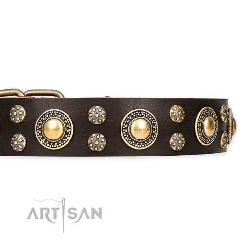 Quality Brown Leather Dog Collar