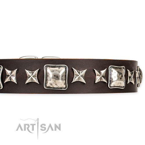 Comfortable Brown Collar Studded