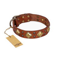 Light Brown Collar "Flight of Fancy" FDT Artisan for Dogs Light Brown Collar "Flight of Fancy" FDT Artisan for Dogs