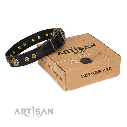 Handmade Dog Collar for Strong Dog Control