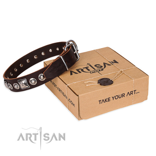 Handmade Leather Dog Collar with Present Box