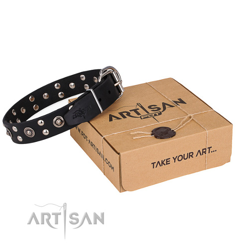 Best Quality Dog Collars Handmade