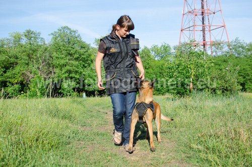 Gilet et Veste 2 en 1 pour dresseur de chiens