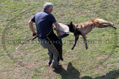 Vêtement de formation chien tablier