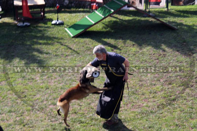 Tablier de sport canin en nylon