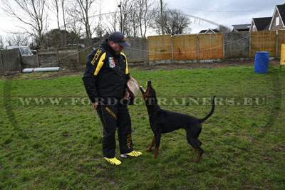 Pantalon et veste pour dressage chiens