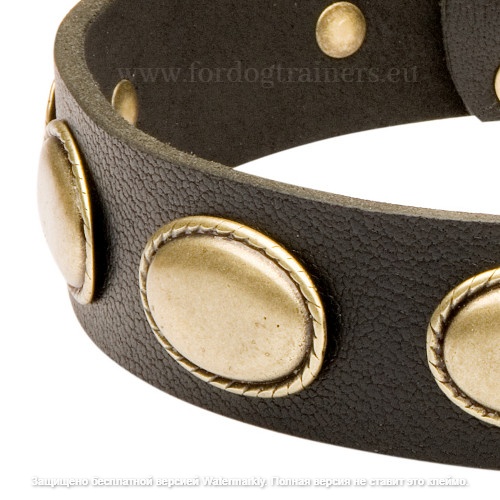 Decorated Leather Dog Training Collar for Dogs Soft