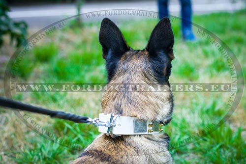 Handmade Dog Collar White for Malinois