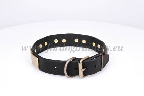 Safe Dog Collar Non-toxic Materials