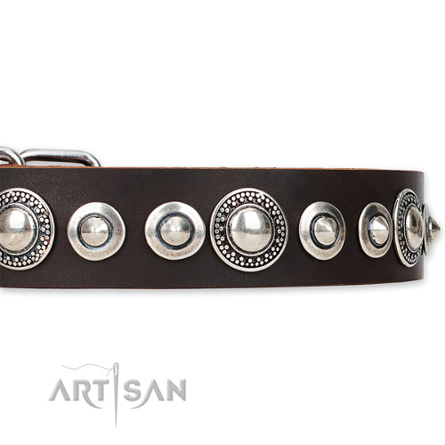 Custom Leather Dog Collar for Large Dogs