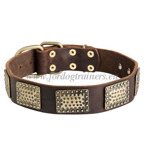 Genuine Leather Collar for Dog with Plates