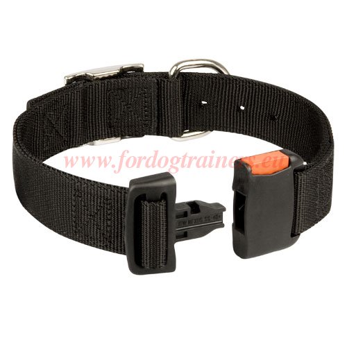 Nylon
Training Collar for Dog