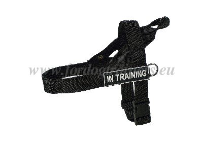 No-pull Harness with Frontal Ring