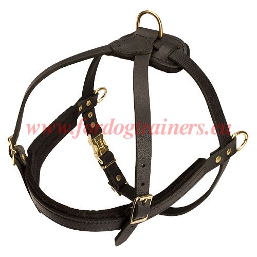 Chest Leather Dog Harness