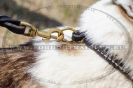 Choke leer halsband voor West-Siberishe Laika