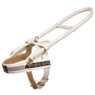 White Leather Harness Reliable for Assistance Dog