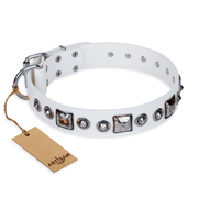 White Leather Dog Collar with Studs