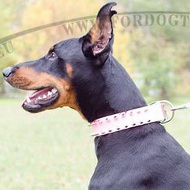 Doberman White Spiked Collar White
Leather Spiked Collar