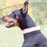 Collier
cuir blanc pour Doberman