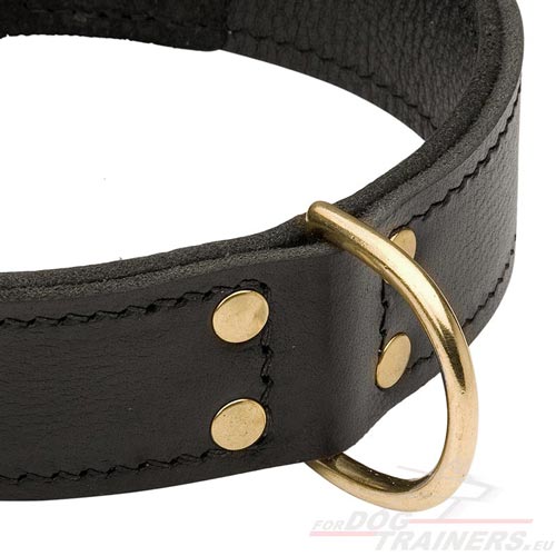 Large Dog Leather Collar 2 Plies