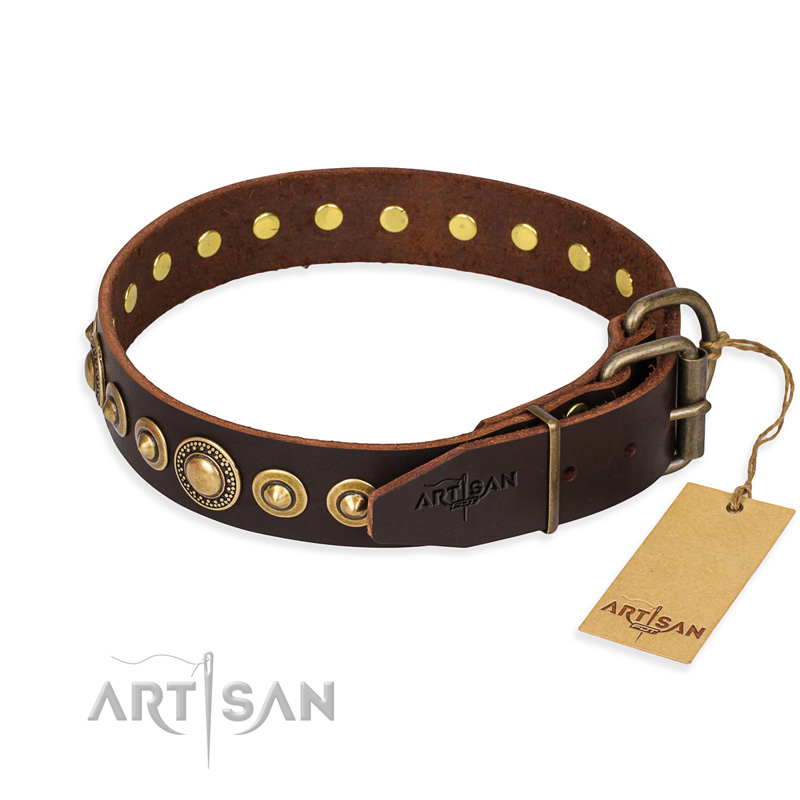 Staffordshire Bull Terrier Dog Collar 18 x 1" BROWN Strong Leather BRASS STUDS 