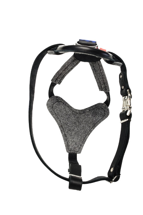 Multifunctional Leather Dog Harness for St Bernard