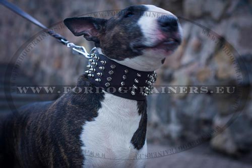 Extra Big Dog Prong Collar