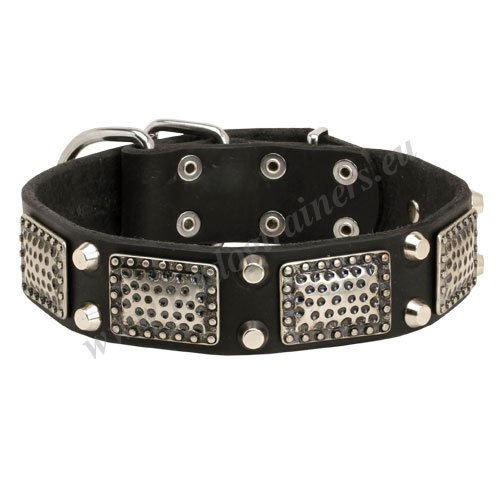 Plated Wide
Dog Collar